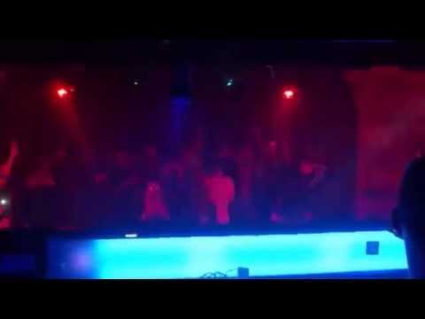 Rosapark im Nachtwerk Karlsruhe