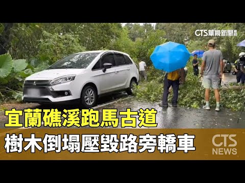 宜蘭礁溪跑馬古道　樹木倒塌壓毀路旁轎車