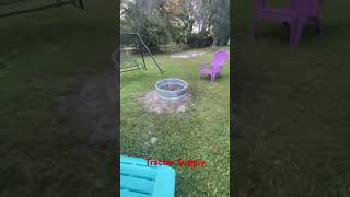 New fire ring from @tractorsupply  #diy #diyprojects