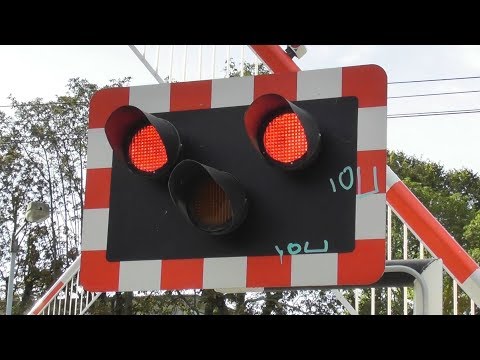 Railway Crossing - Sandymount Station, Dublin - IE 8100 Class Dart Trains x 2