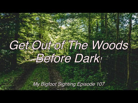 Get Out of The Woods Before Dark! - My Bigfoot Sighting Episode 107