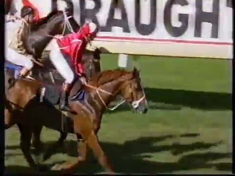 Never Quit - Shannon Quality