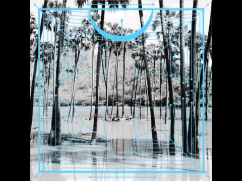 Four Tet - Lion (Jamie xx Remix)