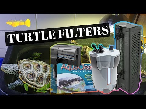 Turtle Filtration 101:  Turtle Basics