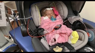 PARIS FAILED HER HEARING TEST!