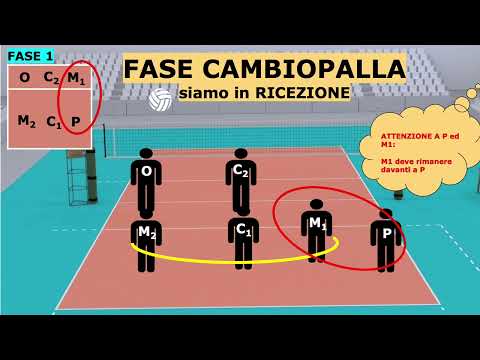 Fasi nella pallavolo