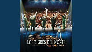 Ayudame A Creer (Live)