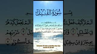 Download lagu Quran Surah Al-Fil   | Muhammad Thaha Al Junayd | untuk hafalan #shorts #short #hafalanalquran mp3