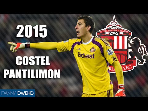 Costel Pantilimon 2015 | Best Saves | Sunderland - HD