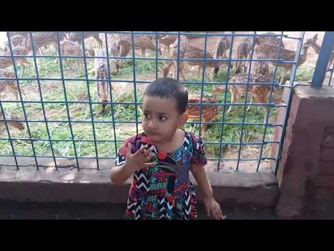 “My daughter Ruwayda Rinaaz and I visited the zoo.”