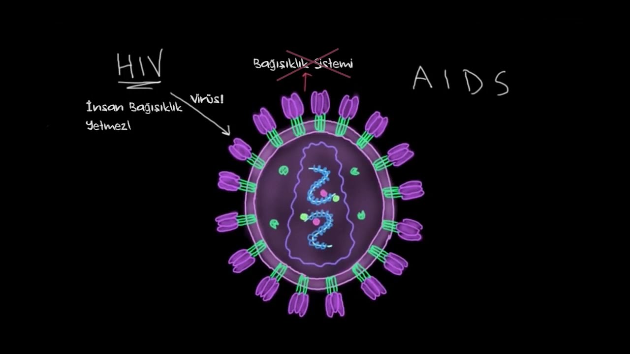 HIV ve AIDS Nedir? (Sağlık Bilgisi ve Tıp)