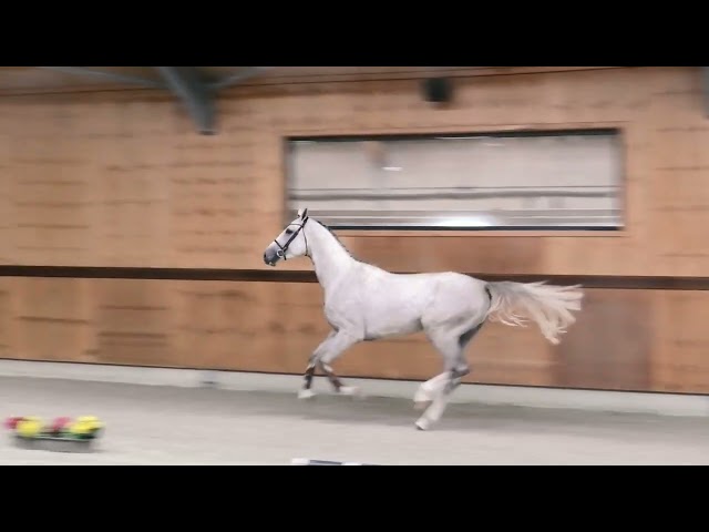 Gaits