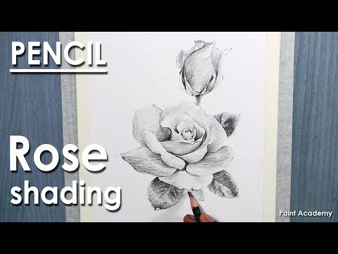 Mountains and Pine Tress Watercolor Pencil Landscape Drawing | steps to follow