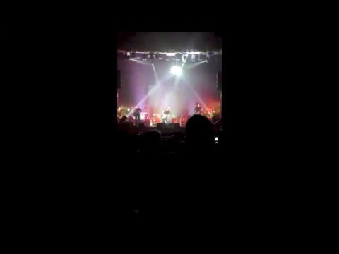 Psychedelicate (Pink Floyd Tribute Band) - Comfortably Numb live at Teatro Accademico