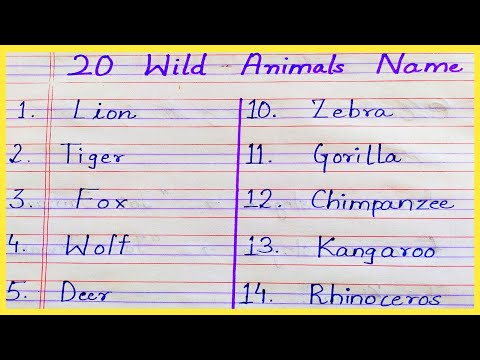 20 Wild animals name in English
