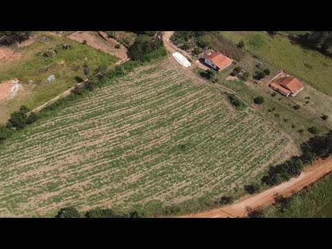 Terreno de 10.000 m2 - Ideal para Chácara - Silvianópolis - Minas Gerais 