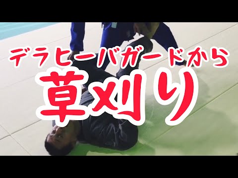 デラヒーバガードから草刈りスイープ｜埼玉県 上尾 桶川 格闘技ジム ブラジリアン柔術アカデミーRJJ