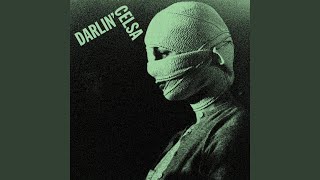 Darlin' Celsa (Celsa Hassle)