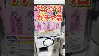 サンリオガチャ活で優勝!? サンリオキャラクターズポムポムプリンぼくのだ〜いすき！たからものネックストラップコレクション&おめんこんがりビーチバージョン2ガチャ！ #sanrio #サンリオ