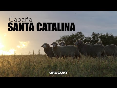 Cabaña Santa Catalina - Especial Gira Uruguay.