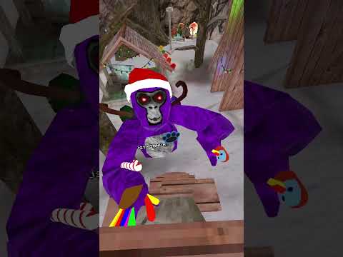 An unusual short. #gorillatag #jmancurly