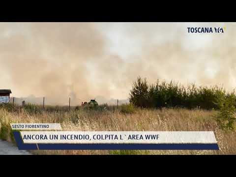 2021-07-21 SESTO FIORENTINO - ANCORA UN INCENDIO, COLPITA L'AREA WWF