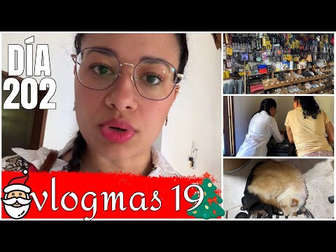 Vlogmas 19: Qué pasó con los otros gatos que tenía + Por fin se logró la misión imposible |Vlog #202