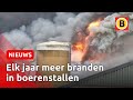 'Boeren moeten meer doen om stalbrand te voorkomen' | Omroep Brabant