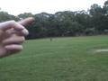 Running Jumping Standing Still