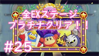 エクストラでもプラチナを取るヤベェ奴【星のカービィWiiデラックス】＃２５