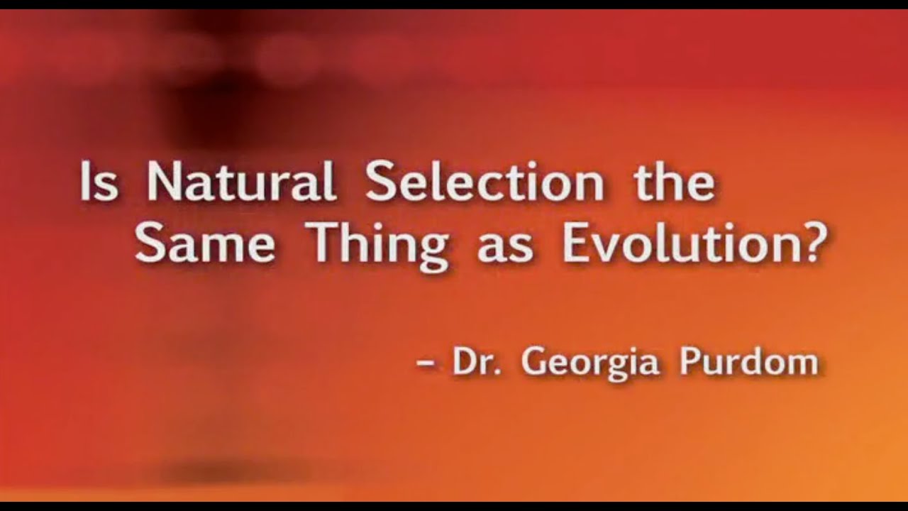 Is Natural Selection the Same Thing as Evolution?