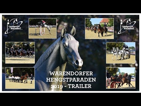 Warendorfer Hengstparaden 2019   Trailer