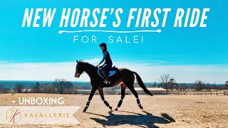 OTTB'S FIRST RIDE SINCE RACING // barn vlog #24