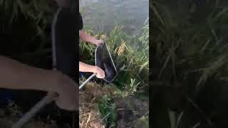 Платный пруд для рыбалки в ростове на дону