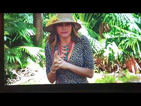 Modern family, Phils Kangaroo punched #modernfamily #funny #comedy #comedyshorts #fypシ゚viral #fyp