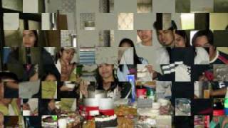 FAMILY TREE by MLTR.wmv
