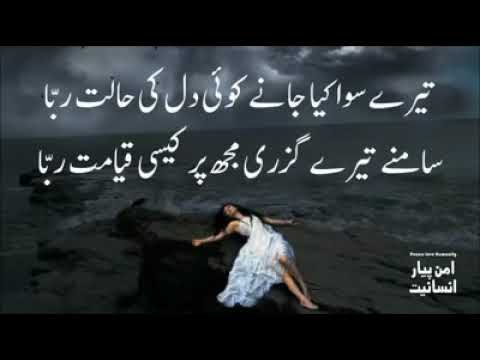 Meri zaat Zara e Binisha full lyrical song