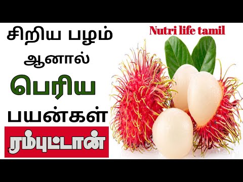 , title : 'health benefits of rambutan fruit in tamil | ஆரோக்கியம் தரும் ரம்புட்டான் பழம்'
