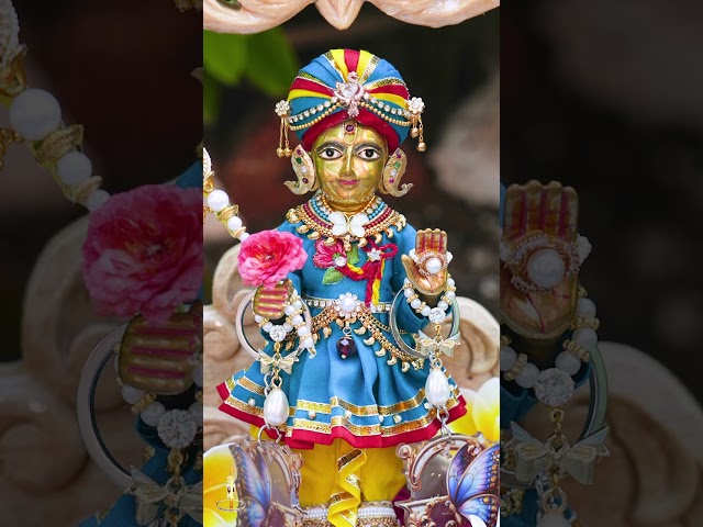 Harikrushna Maharaj