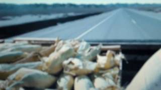 Daniel Lévy - Ici Et Maintenant