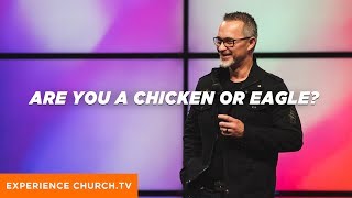 Are You A Chicken Or An Eagle?