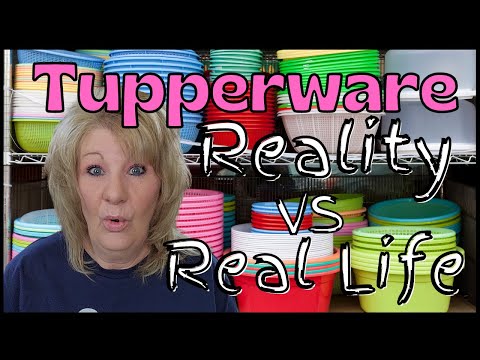 Does Anyone Sell Tupperware Anymore / Tupperware Food Storage Containers VS Rubbermaid Containers