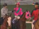 2005 Breeders' Cup Classic