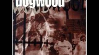 Dogwood-The Pain Is Gone