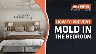 How To Prevent Mold in The Bedroom - Mold Busters