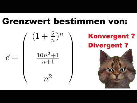 Vektorfolgen untersuchen Auf Konvergenz / Divergenz