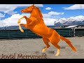 ALWAYS BET ON WINNING HORSES