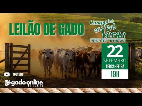 🌟Leilão de Gado Campo Verde AO VIVO | Igaratinga/MG | 🎥