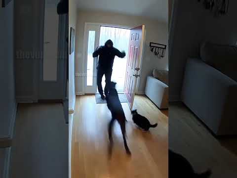 Burglary in Washington, DC