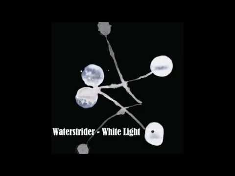 Waterstrider - White Light